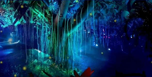 动物因全都“不正经”火上热搜,南宁这所动物园还有正经动物吗?有问必答-专业解答您的疑问